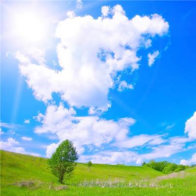 蜜雪集团去年净利58.8亿元